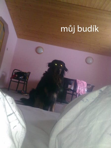 19122009025
