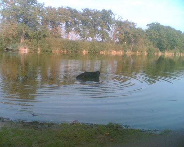 Obraz008