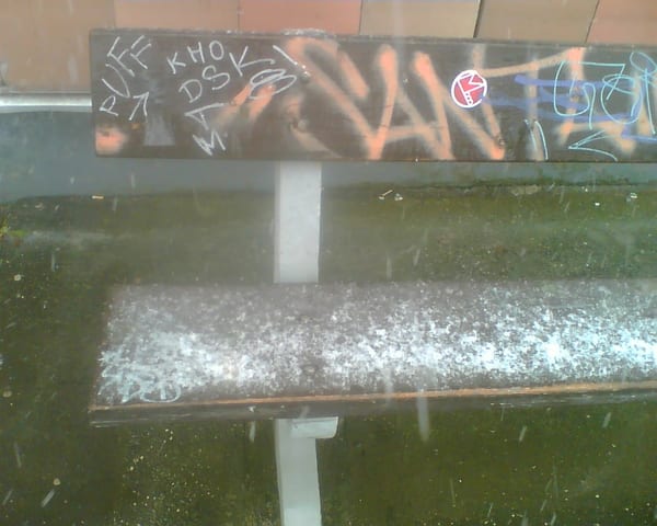 Obraz006