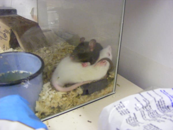 picture 001