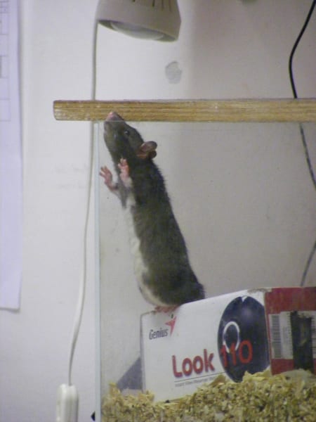 picture 022