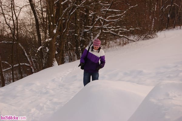 dsc_6038-960x638