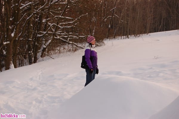 dsc_6040-960x638