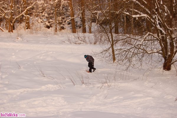 dsc_6050-960x638