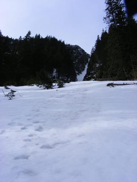 dscf2040