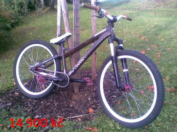 specialized