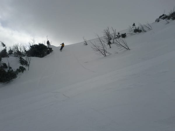 img_20120311_131938