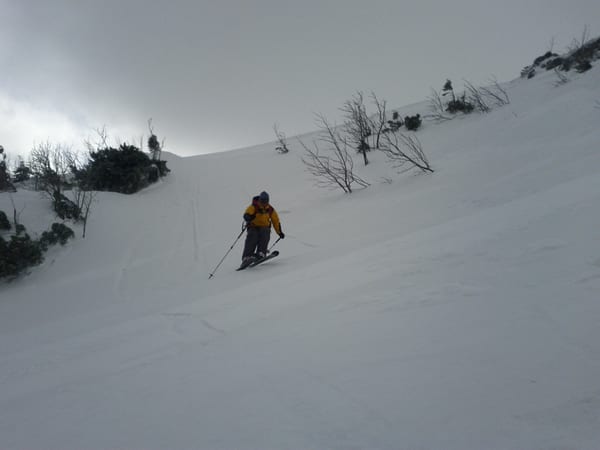 img_20120311_131941