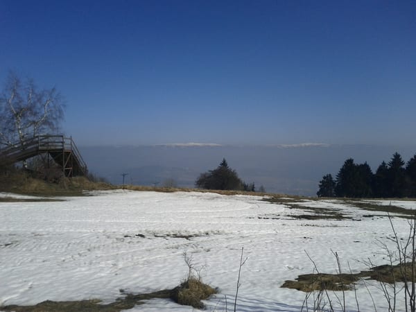 img_20120316_110004