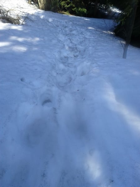 img_20120316_112646