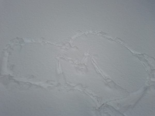 img_20120401_120435_0