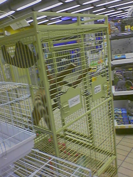 060622_074420