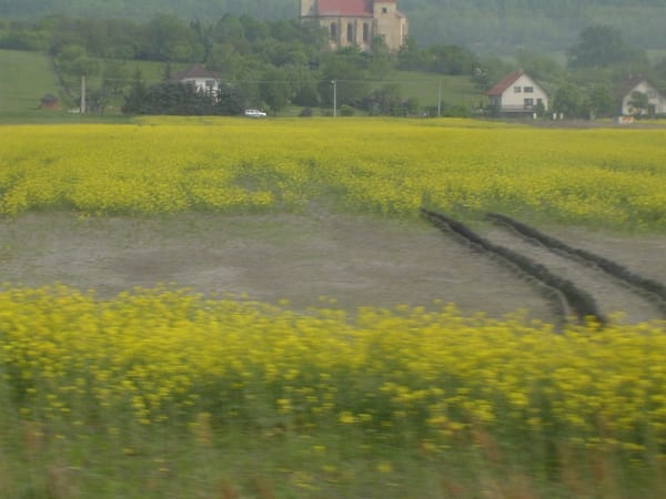 Čachovice