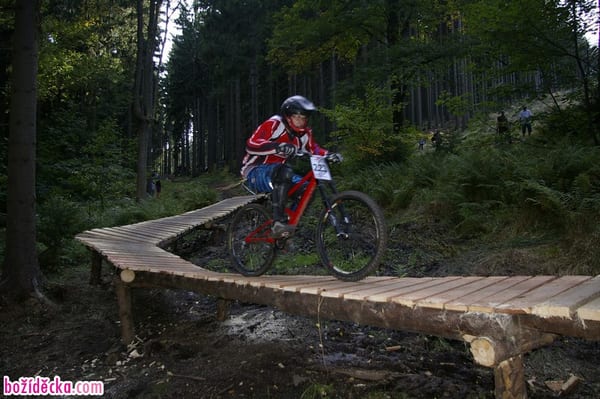 _IGP0256