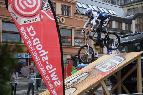 DT JBC 2009 237