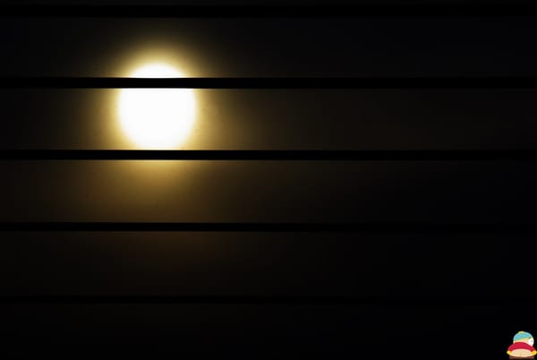 07