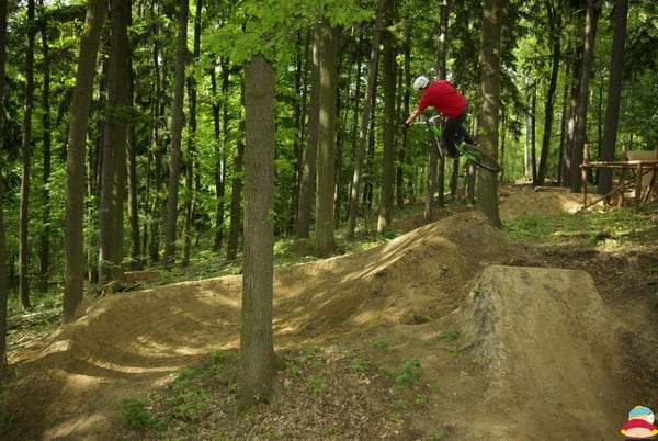 Výběr z května 2009