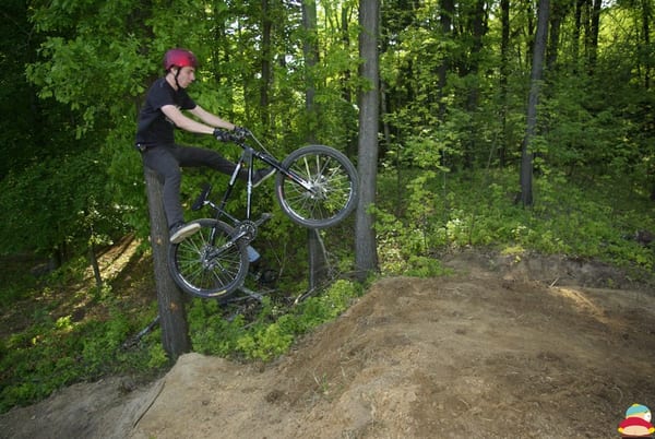 Výběr z května 2009