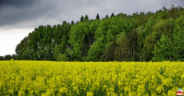 _IGP000888