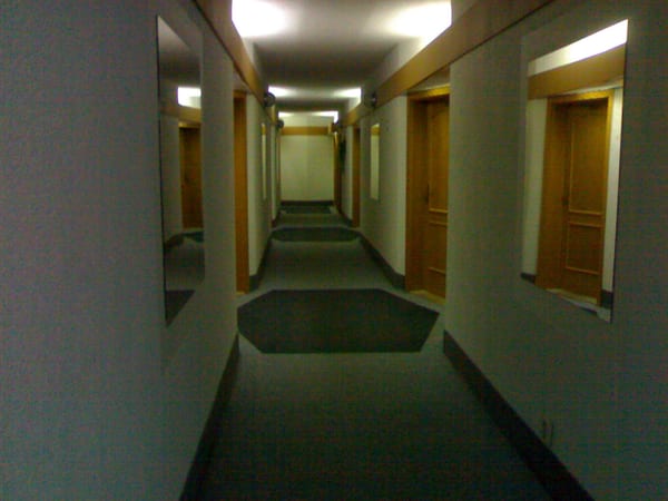 05102009388