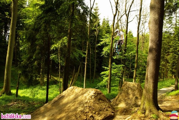 _IGP0081