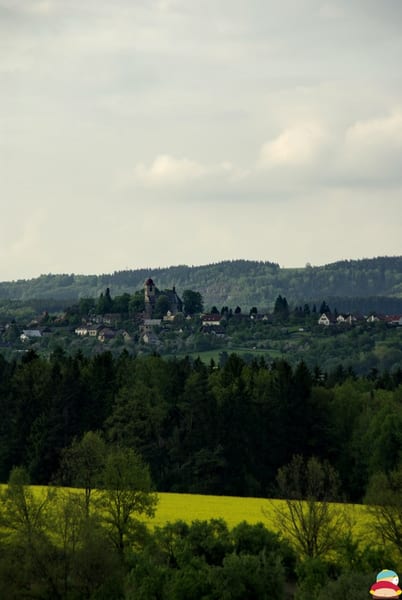 _IGP001333