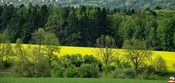 _IGP001666