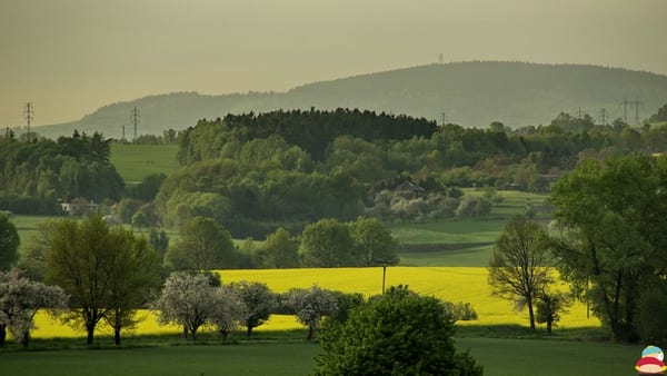 _IGP003555