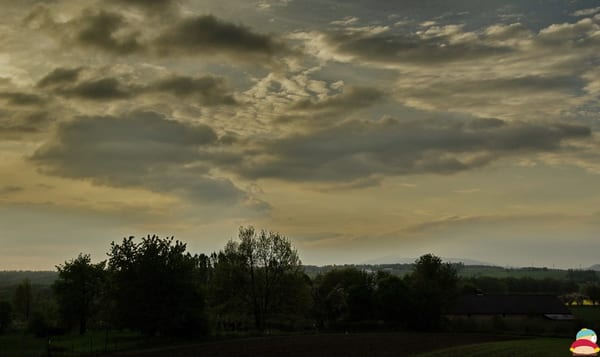 _IGP006333