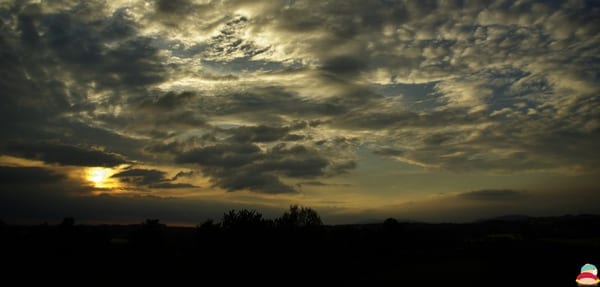 _IGP007999