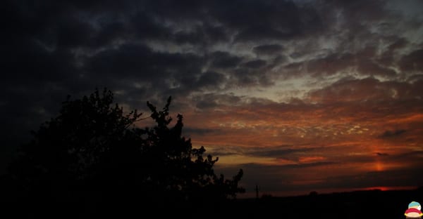 _IGP019111