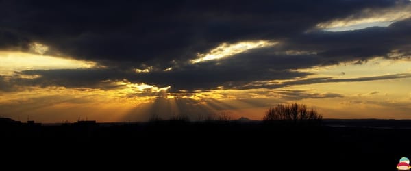 _IGP002222