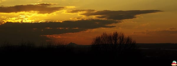 _IGP007555