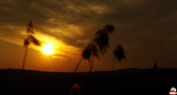 _IGP005777