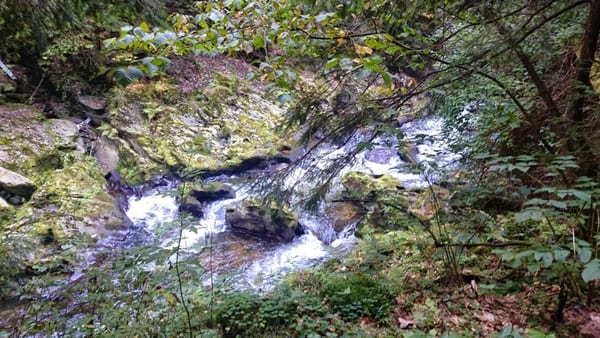 Spačka_1089