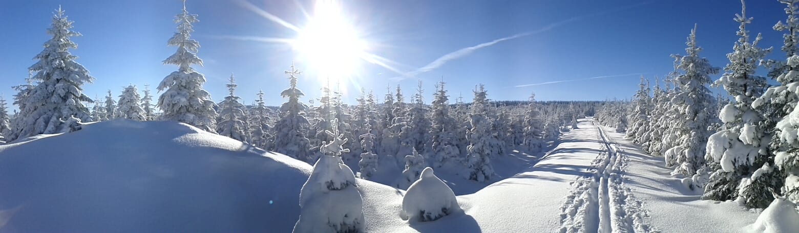 PANO_20121208_110404