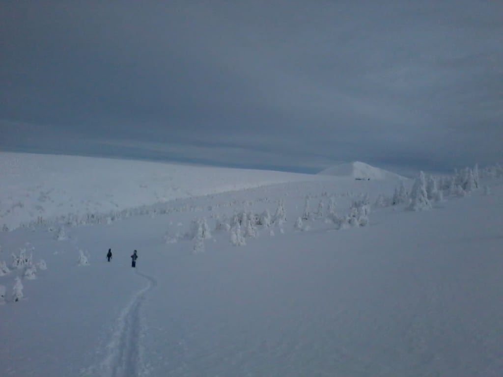 2013-01-20 13.26.38