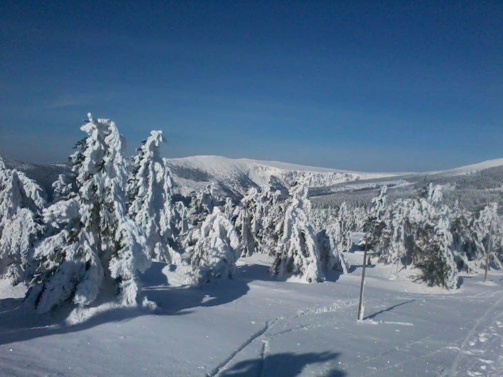 2013-04-08 09.02.01