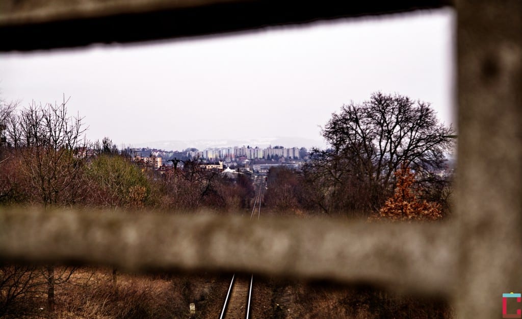 _IMG00006