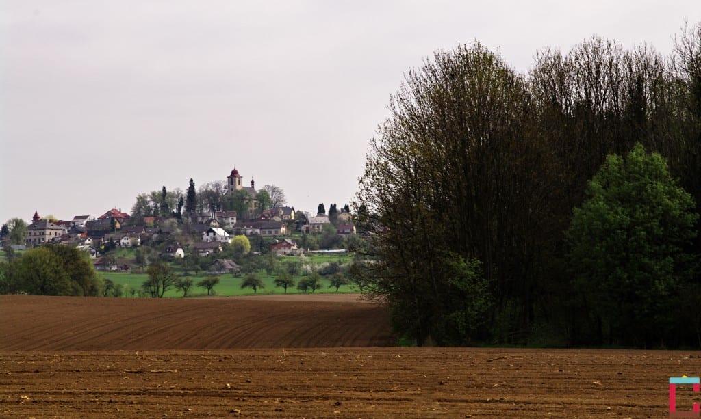 _IMG0001