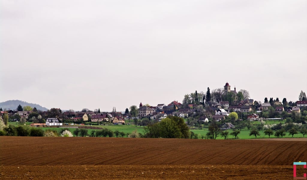 _IMG0004