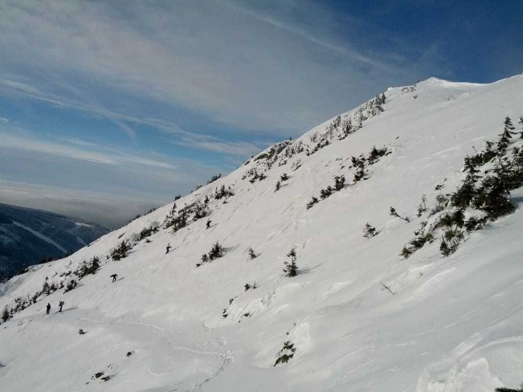 IMG_20130120_104421