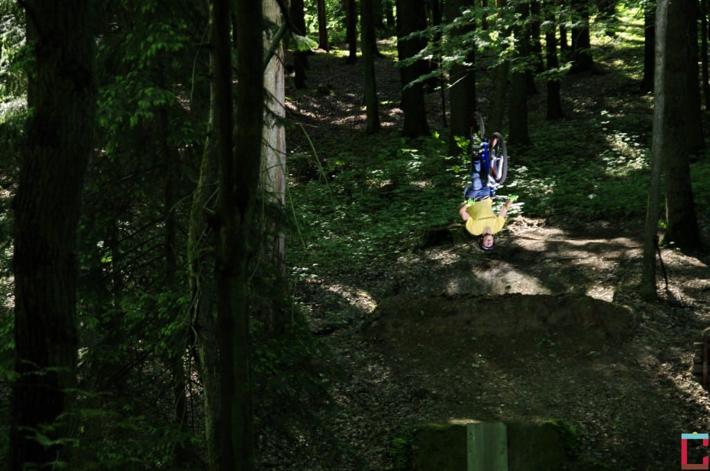_IMG0019,