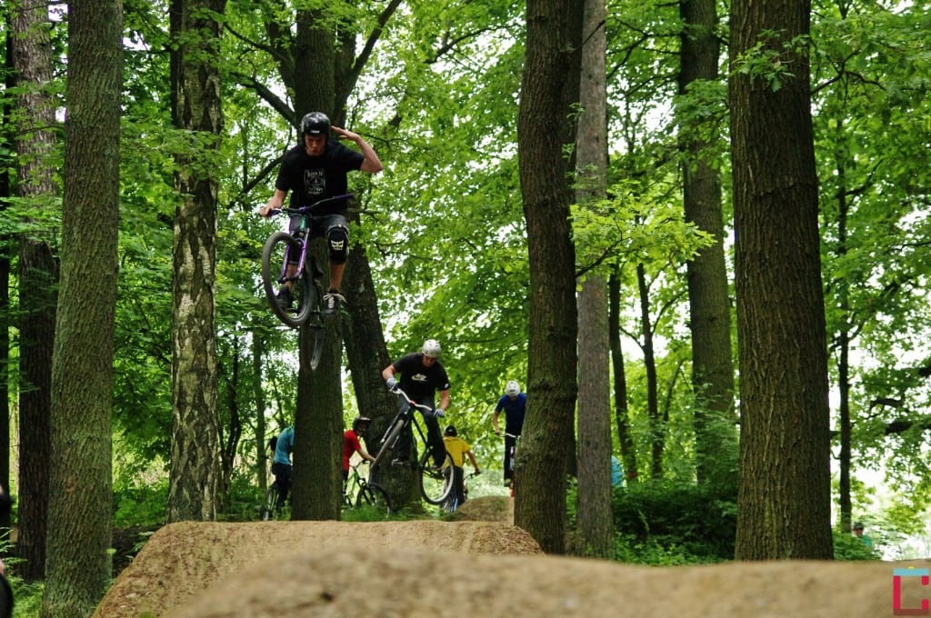 _IMG0029,