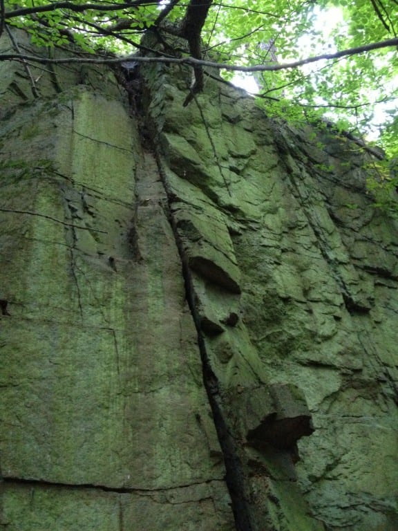 photo-4